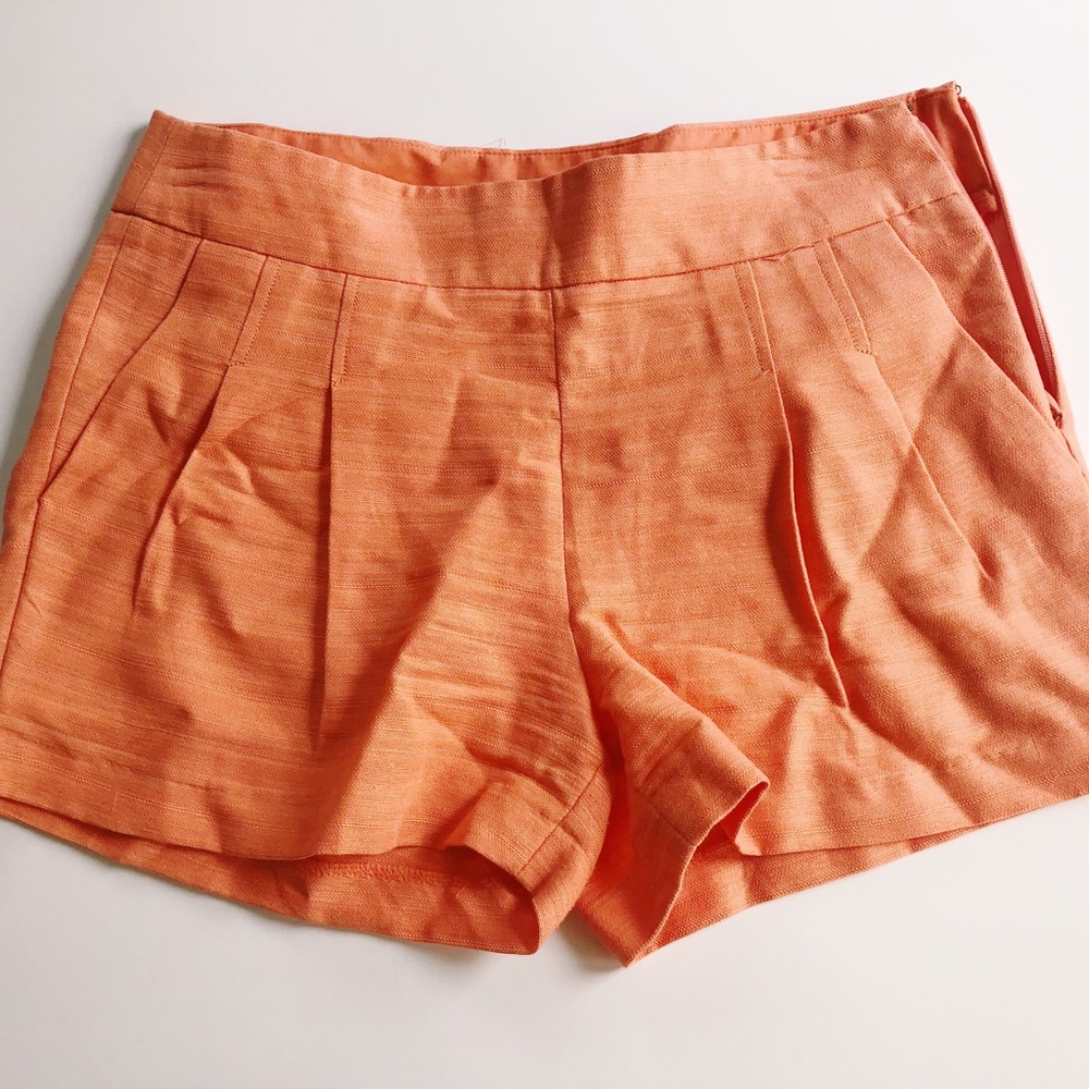Clothing (Shorts)